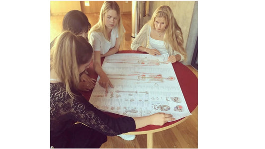 Fire danske Lægestuderende anmeldte plakaten EA1 - bevægeapparatets anatomi