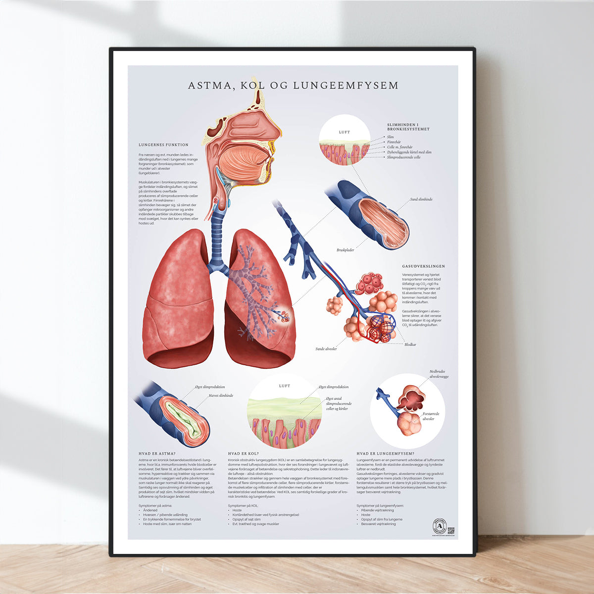 Plakater om åndedrætssystemet