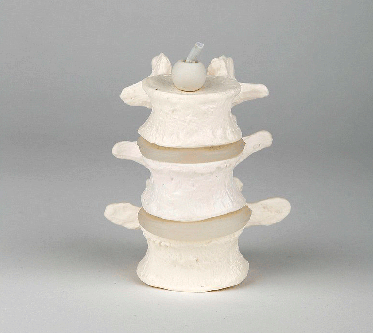 Extremely flexible and simple model of 3 lumbar vertebrae (L3-4-5)
