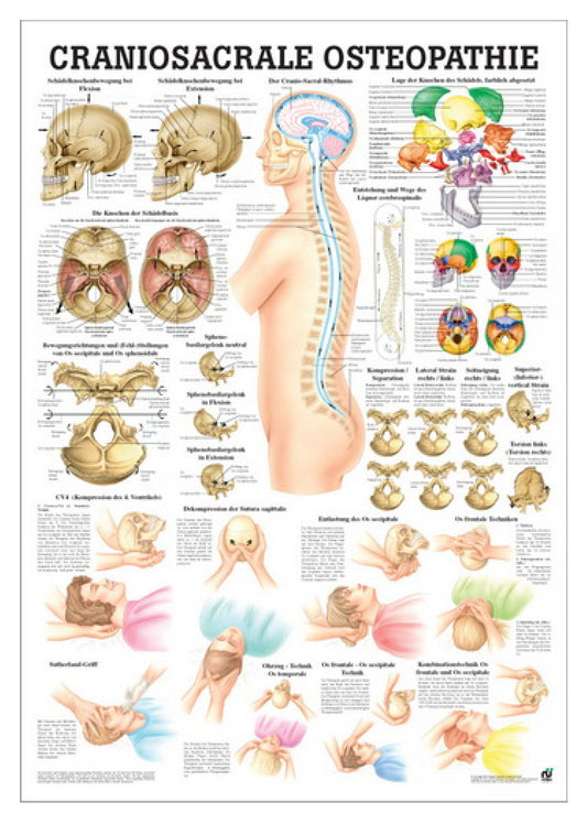 Poster about CranioSacral therapy