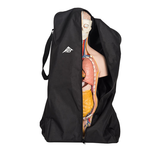 Portable and practical storage bag for torso models