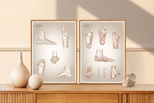 Reflexology bundle II