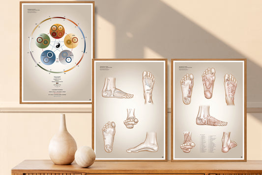 Reflexology bundle IV