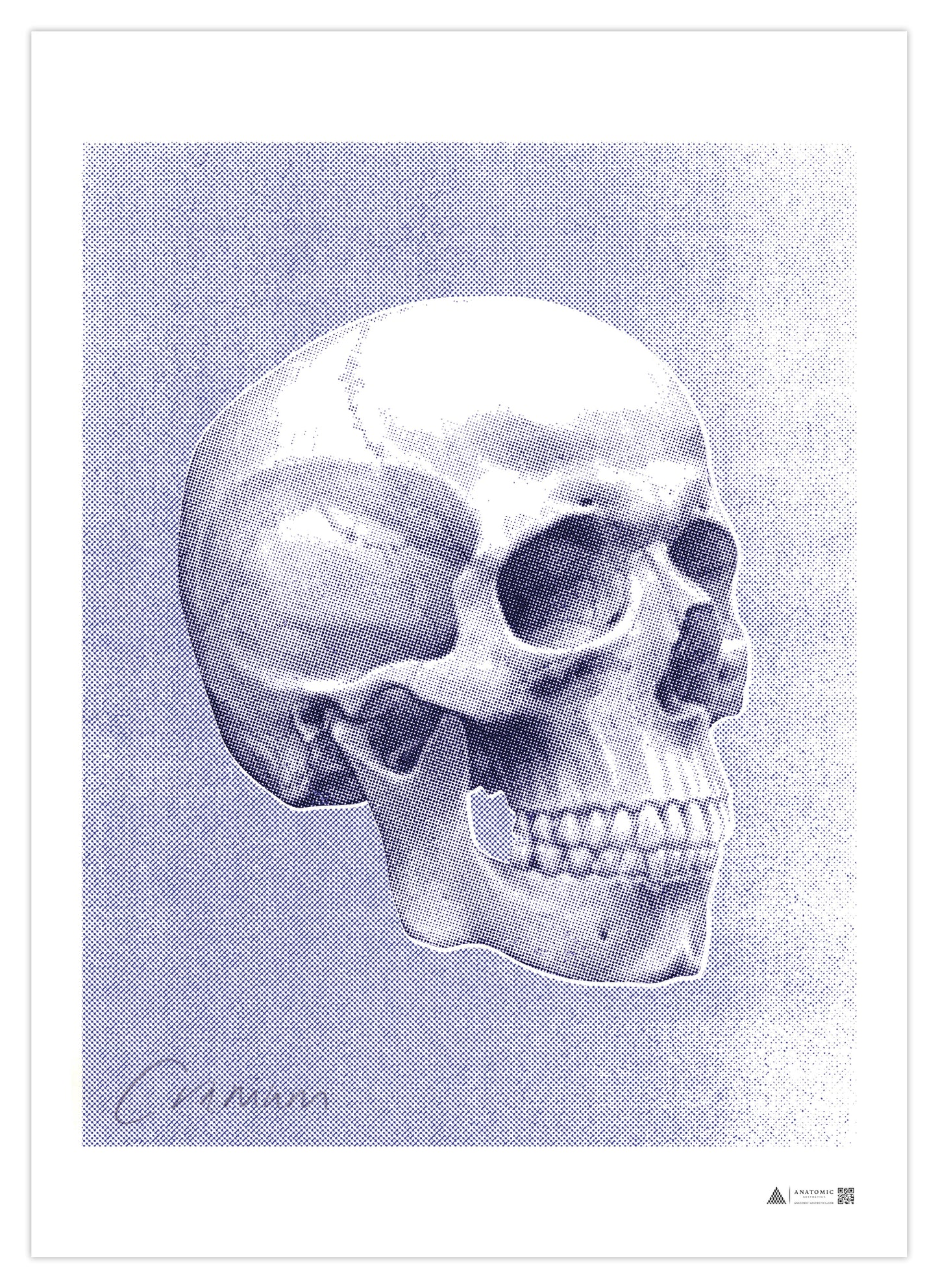 Anatomical Art Poster Pop Skull Blue