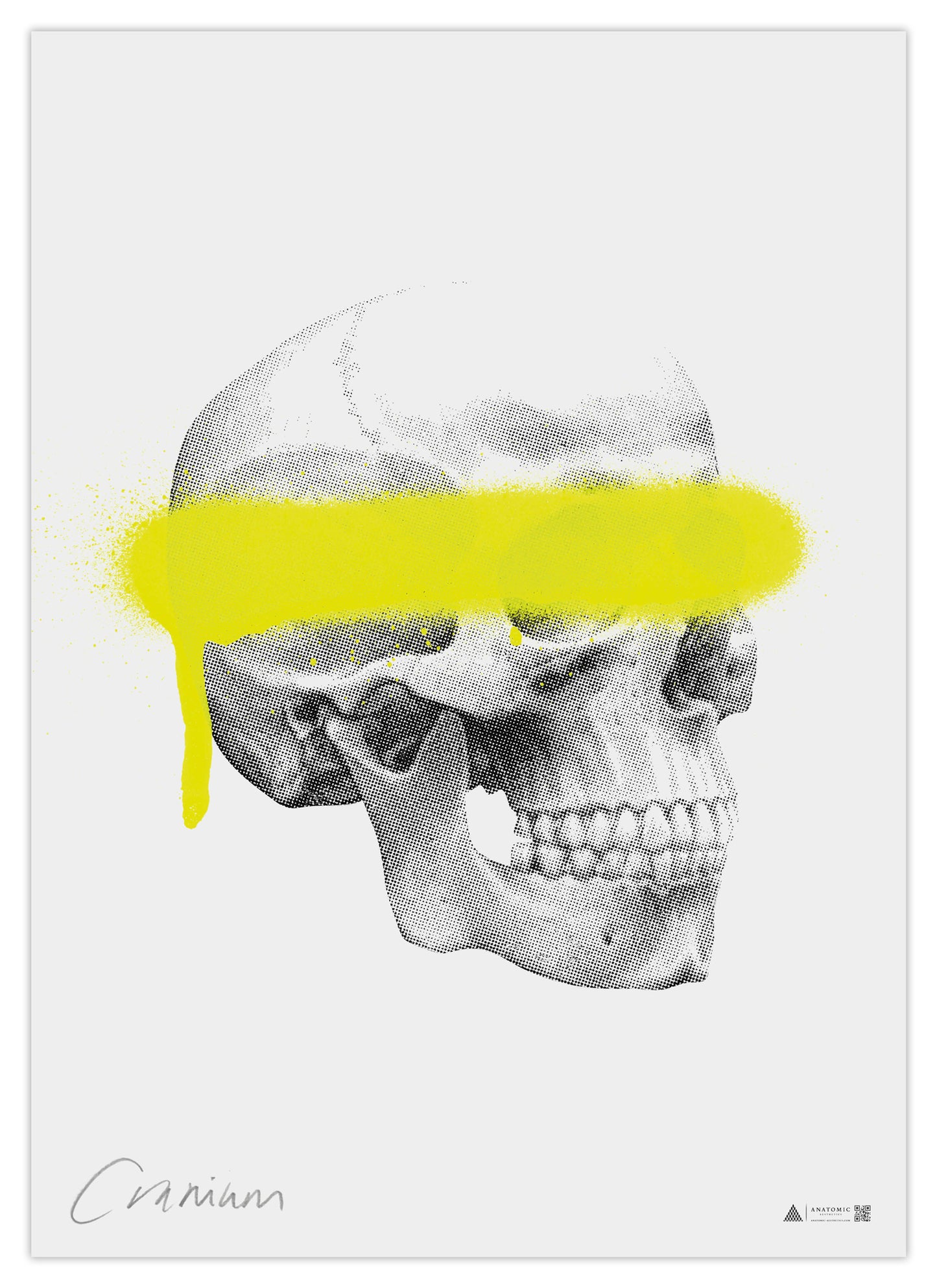 Anatomical Art Poster Neon Pop Skull
