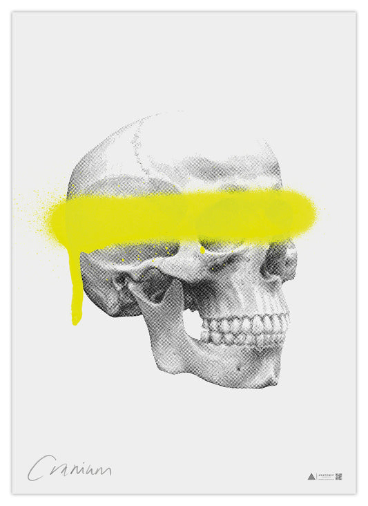 Anatomisk konstaffisch Neon Pop skalle