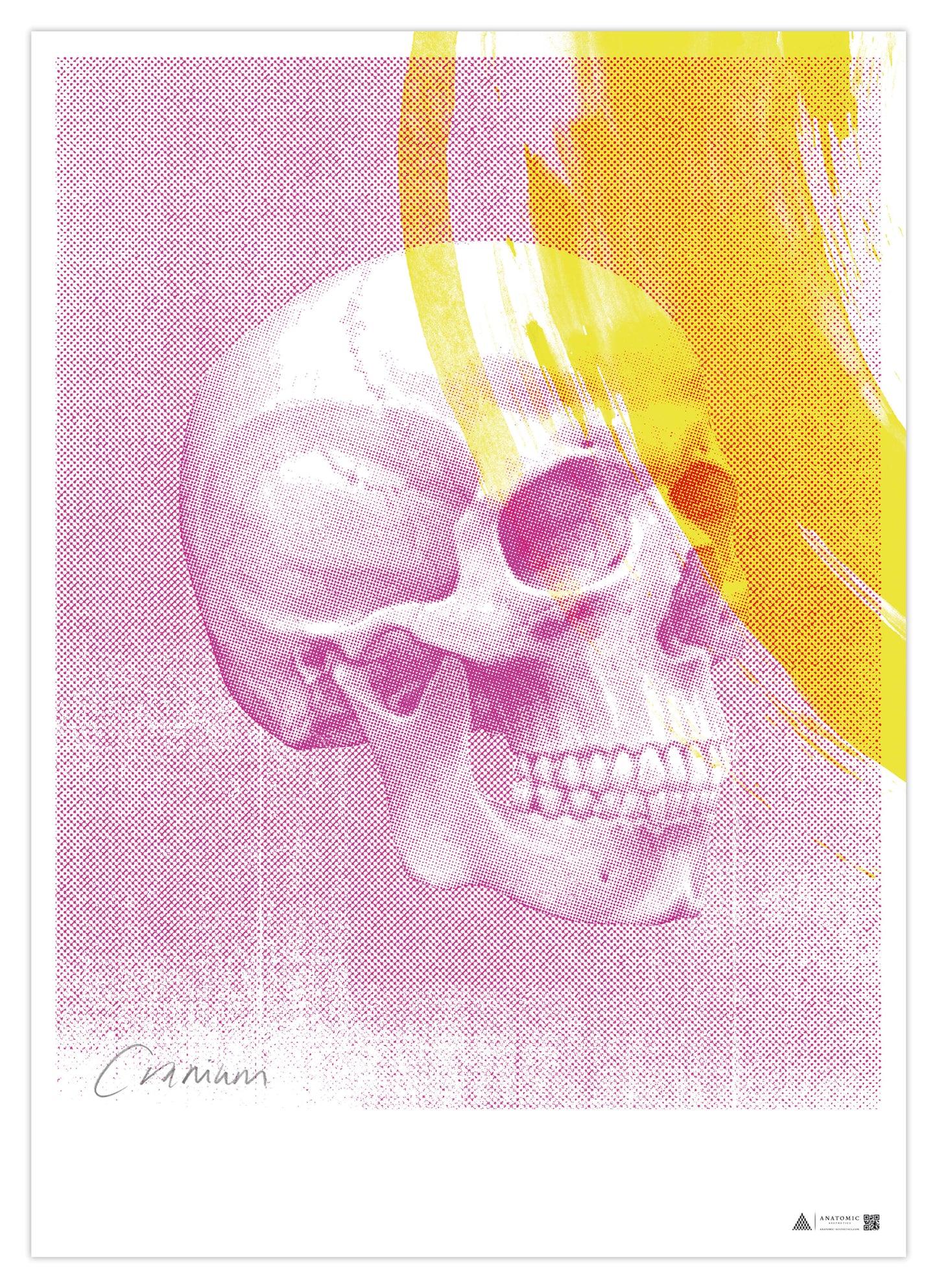 Anatomical Art Poster Pop Skull Pink