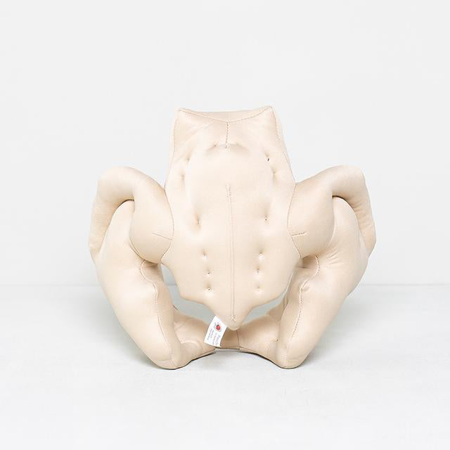 Pelvic model in fabric and foam rubber showing the woman's pelvis. Targeted demonstration of births