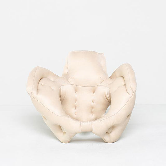 Pelvic model in fabric and foam rubber showing the woman's pelvis. Targeted demonstration of births