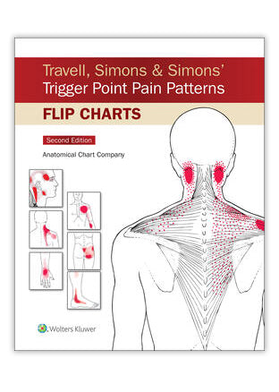 Flipover (table model) about trigger points in English v 2.0