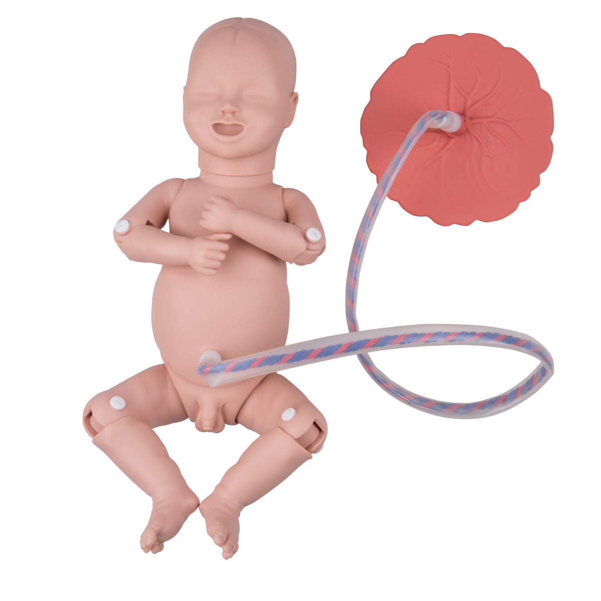 Practical birth simulator BASIS targeted training in uncomplicated and complicated births etc