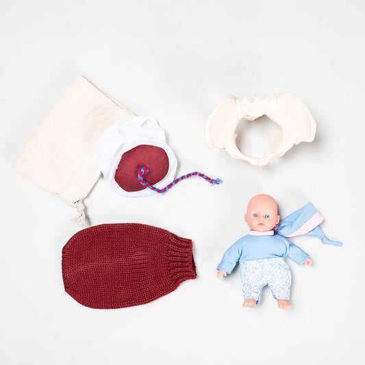 Reduced set of birth models for educational use