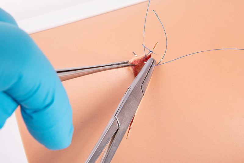 Skin model for practicing suturing