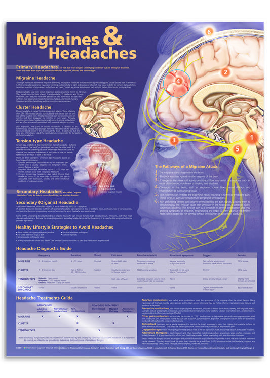 Laminated poster about migraines and headaches in English