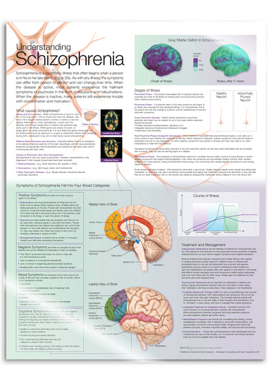 Laminated poster about schizophrenia in English