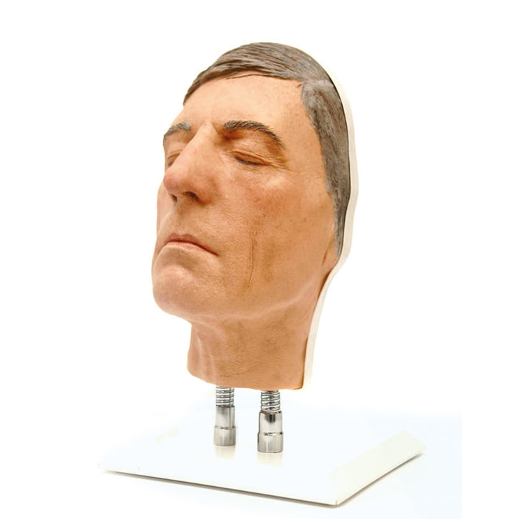 Modell av en mans ansikte för injektionsträning