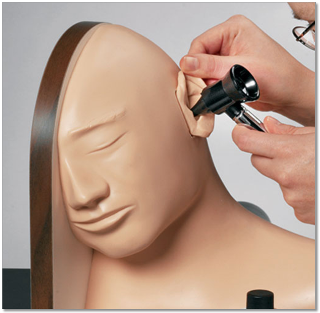 Simulator for training in ear examination