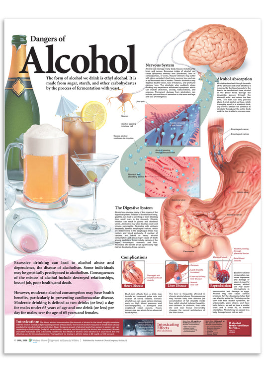 Poster about the harmful effects of alcohol laminated English