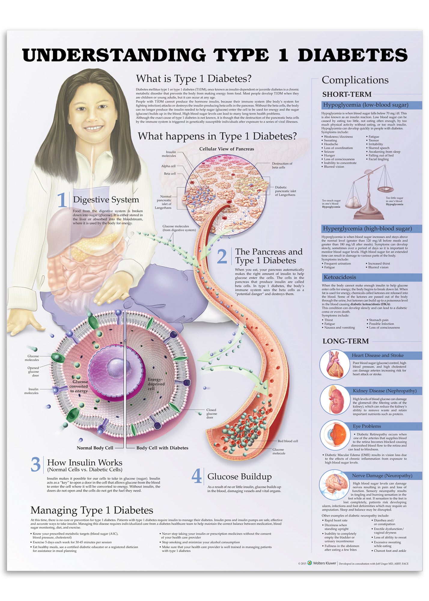 Poster about type 1 diabetes in English
