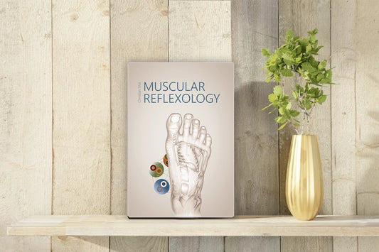 Muscular reflexology by Christian Slot