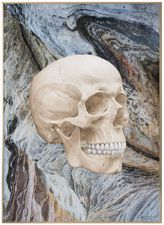 Anatomical Art Poster Skull on Blues